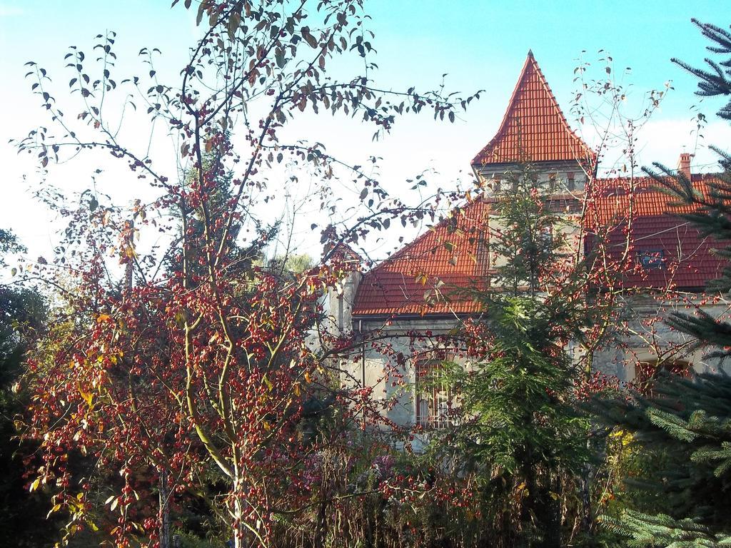 Dwor W Boleniu Villa Exterior foto