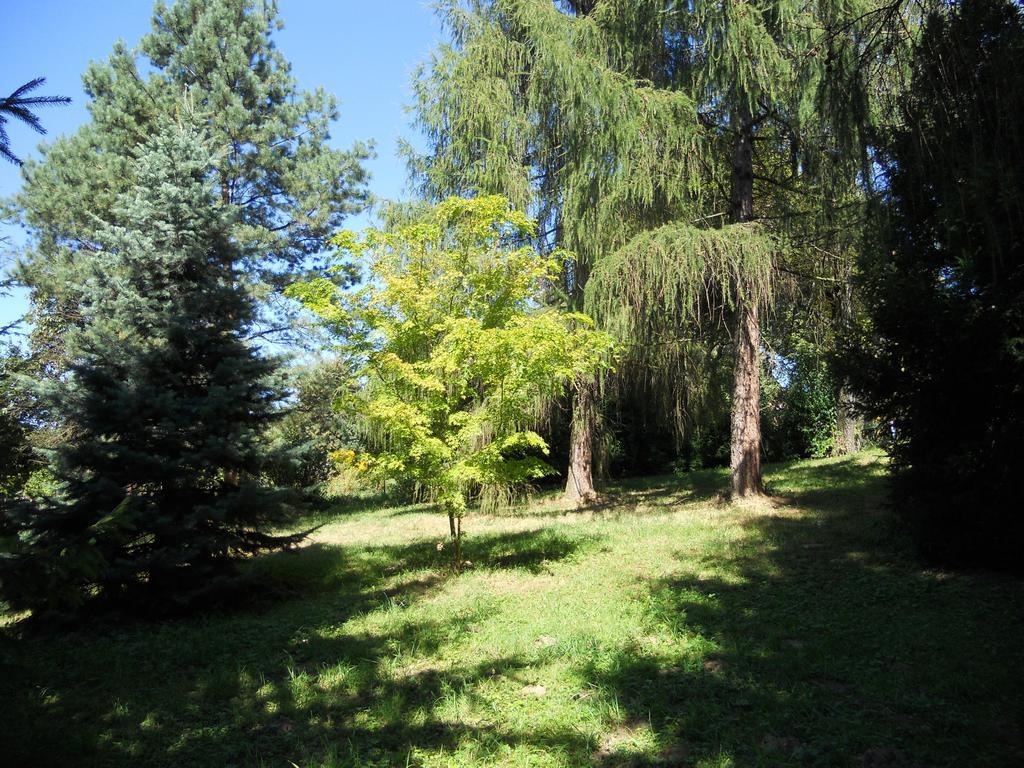 Dwor W Boleniu Villa Cameră foto